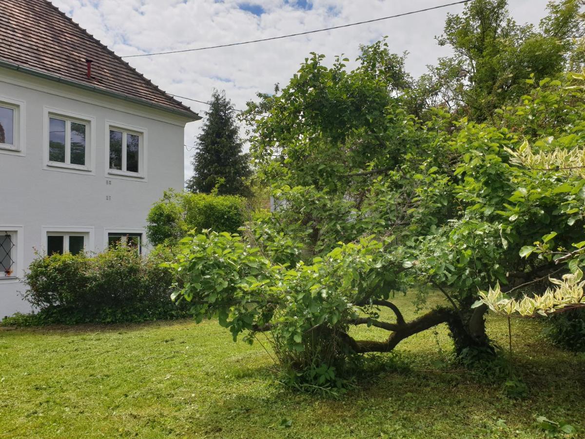 Family Apartment Linz Wohnen Mit Garten Am Fusse Des Poestlingbergs Top Lage Villenviertel Экстерьер фото