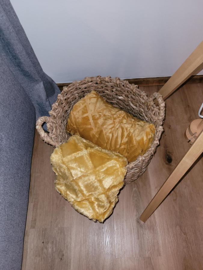 Family Apartment Linz Wohnen Mit Garten Am Fusse Des Poestlingbergs Top Lage Villenviertel Экстерьер фото