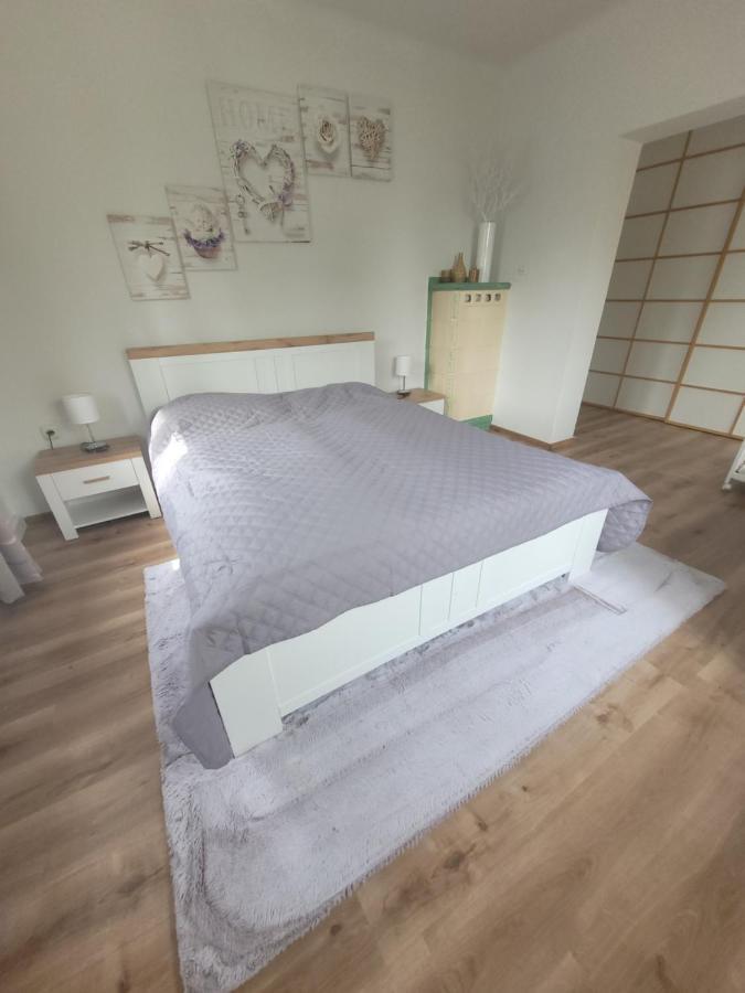 Family Apartment Linz Wohnen Mit Garten Am Fusse Des Poestlingbergs Top Lage Villenviertel Экстерьер фото