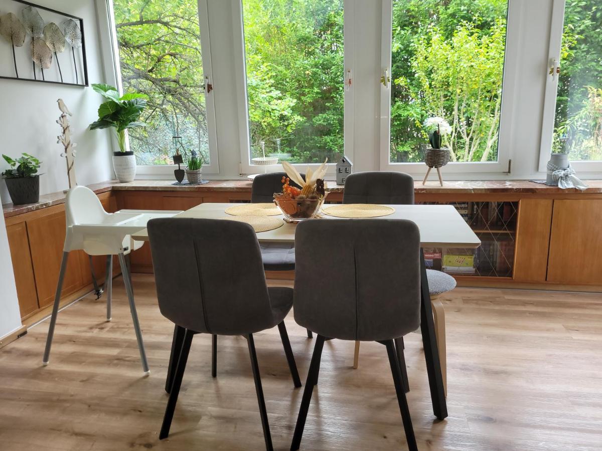 Family Apartment Linz Wohnen Mit Garten Am Fusse Des Poestlingbergs Top Lage Villenviertel Экстерьер фото